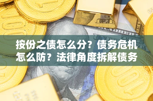 武汉按份之债怎么分？债务危机怎么防？法律角度拆解债务分配与风险自保指南