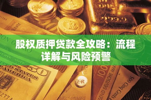 武汉股权质押贷款全攻略：流程详解与风险预警