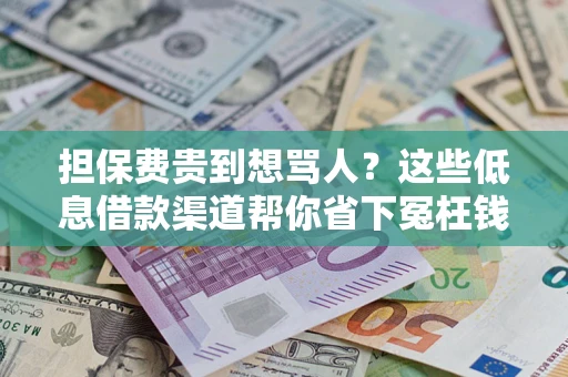 武汉担保费贵到想骂人？这些低息借款渠道帮你省下冤枉钱