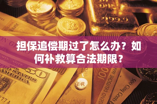 武汉担保追偿期过了怎么办？如何补救算合法期限？