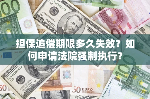 武汉担保追偿期限多久失效？如何申请法院强制执行？