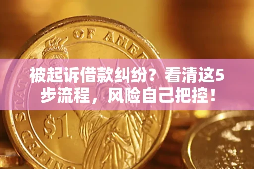 武汉被起诉借款纠纷？看清这5步流程，风险自己把控！