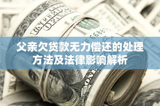 武汉父亲欠贷款无力偿还的处理方法及法律影响解析