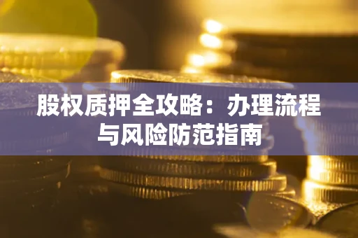 武汉股权质押全攻略：办理流程与风险防范指南